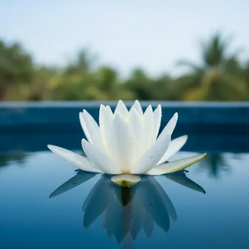 הלוטוס הלבן (The White Lotus)